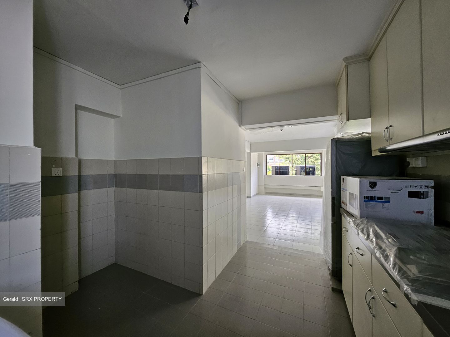 Dunearn Road (D11), Condominium #527356001